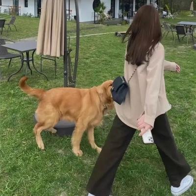 春色无边满人间